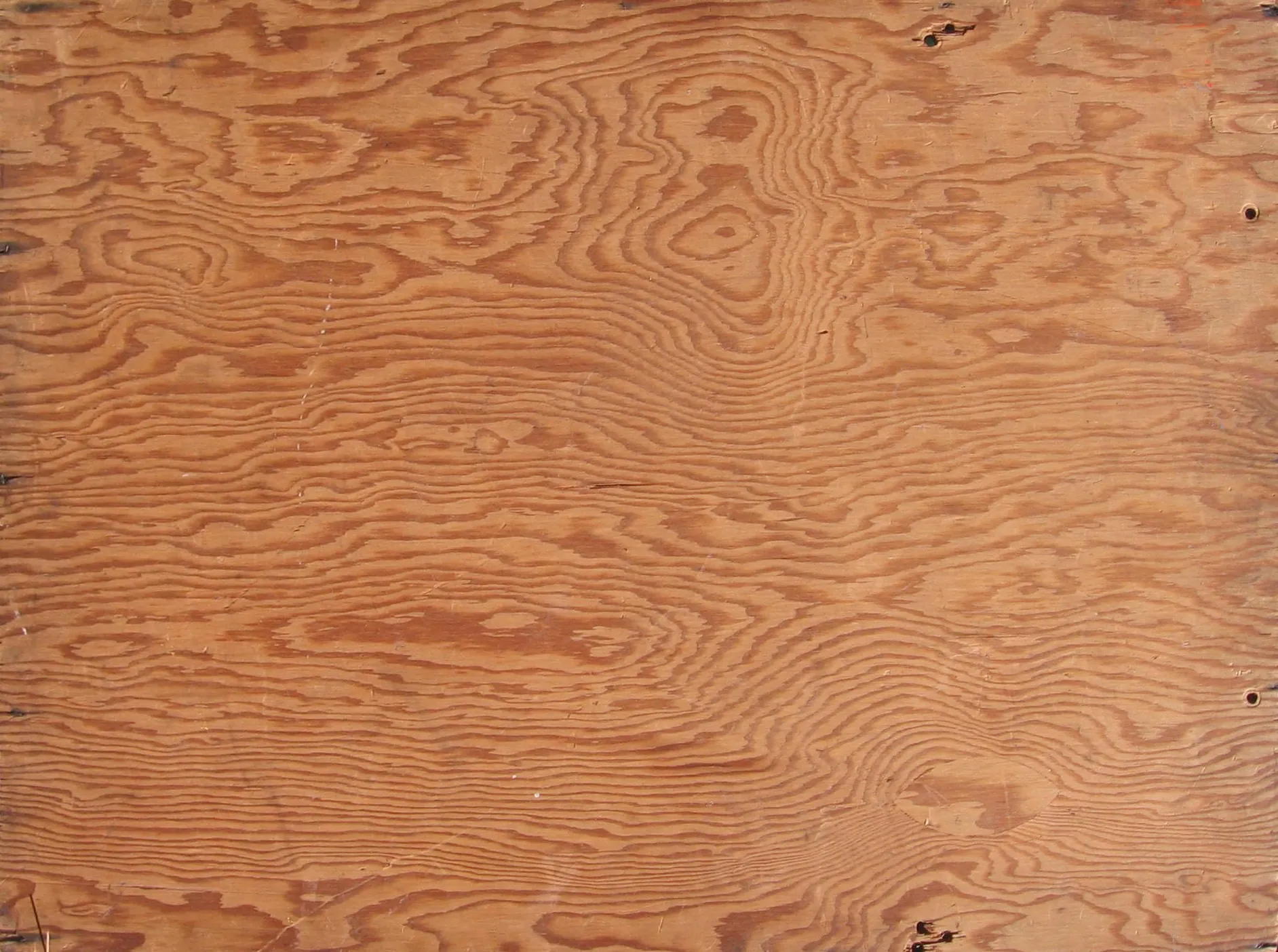 Close-up of a plywood sheet's wood grain